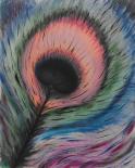 The image for Peacock Feather