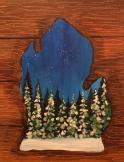 The image for Michigan Winter Nights