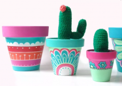 The image for Off-Site Private Event - Succulent Potting