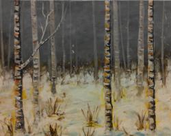 The image for Birch Forest in Winter