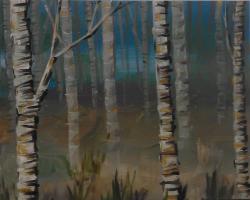 The image for Birch Forest
