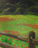 The image for Field of Red Poppies