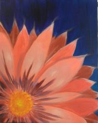 The image for Pink Gerber Daisy