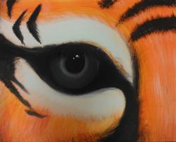 The image for Eye of the tiger