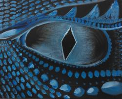 The image for Dragons Eye