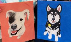 The image for Paint your Pet!