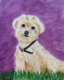 The image for Paint your Pet!